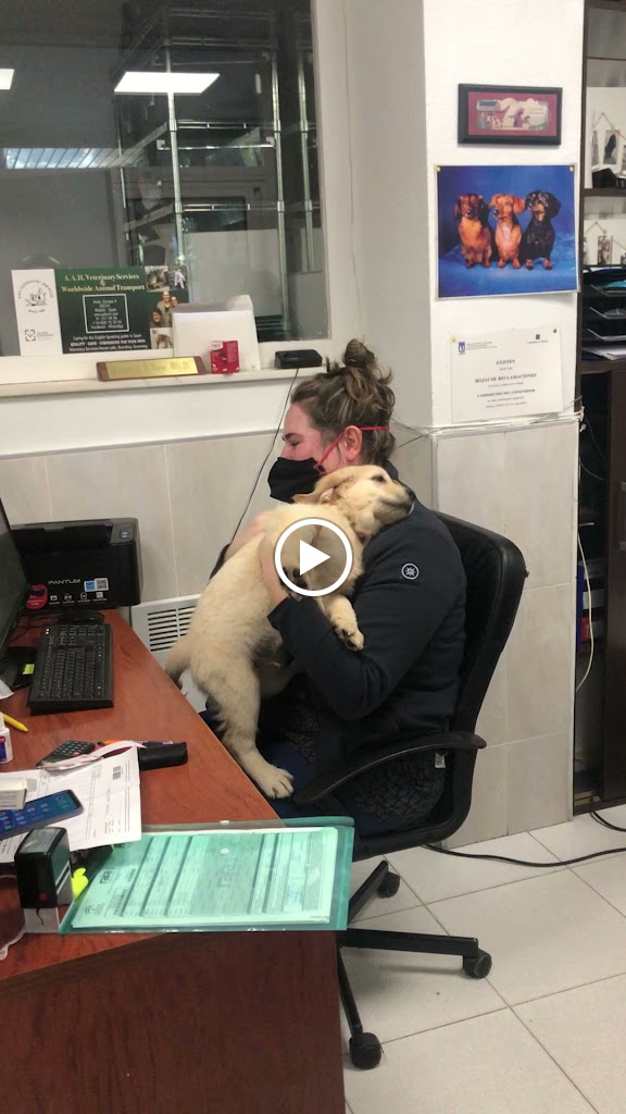 AAH Veterinary Services — Del propietario