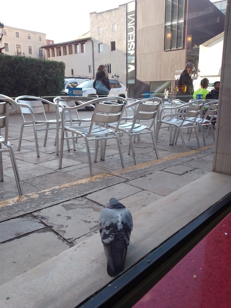 Anfi Vilafranca, Placa Jaume I — Mas recientes