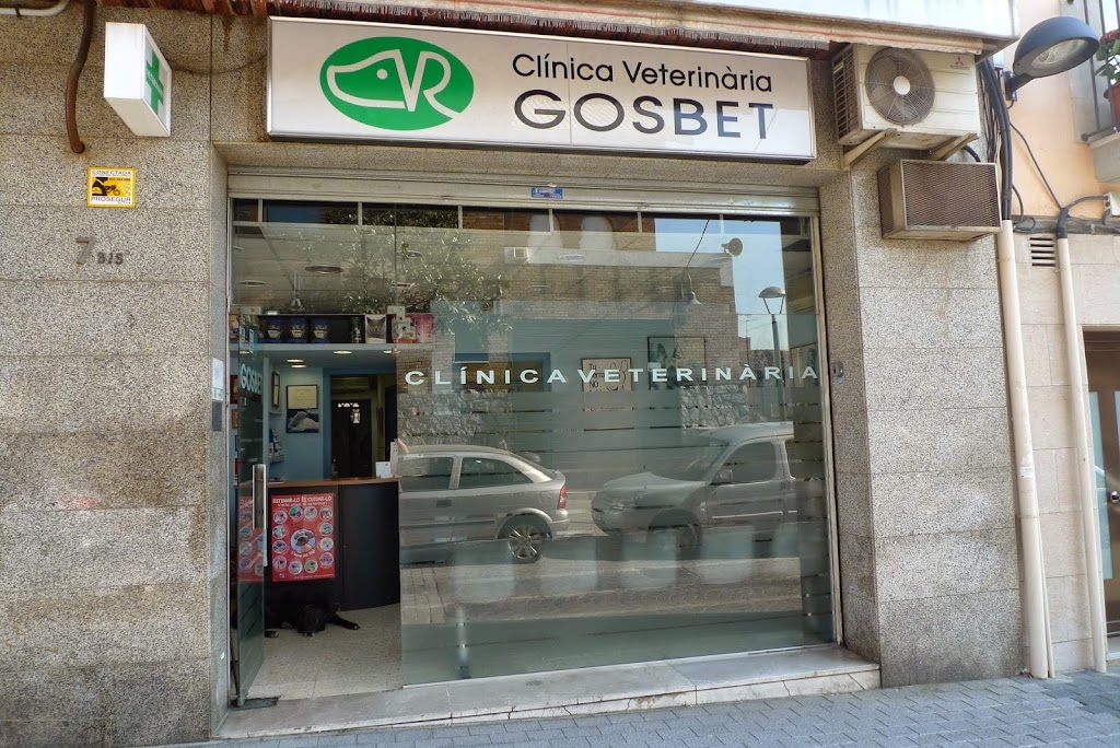 Clinica Veterinaria Gosbet