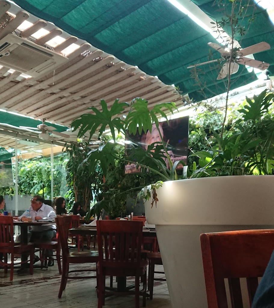 Los Canarios Santa Fe