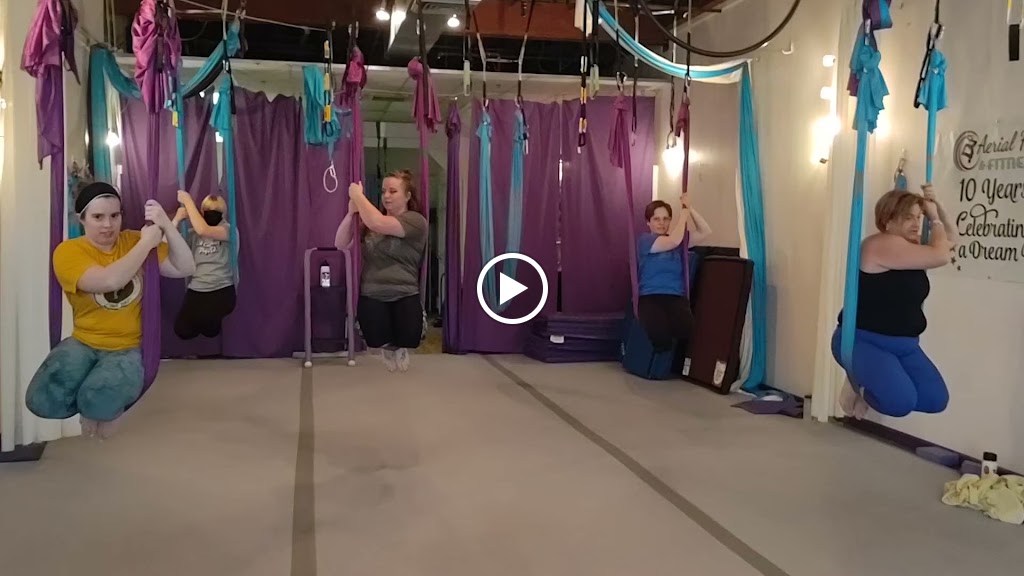  Aerial Fun & Fitness / Aerial Technique / Zina's Organics & Wellness