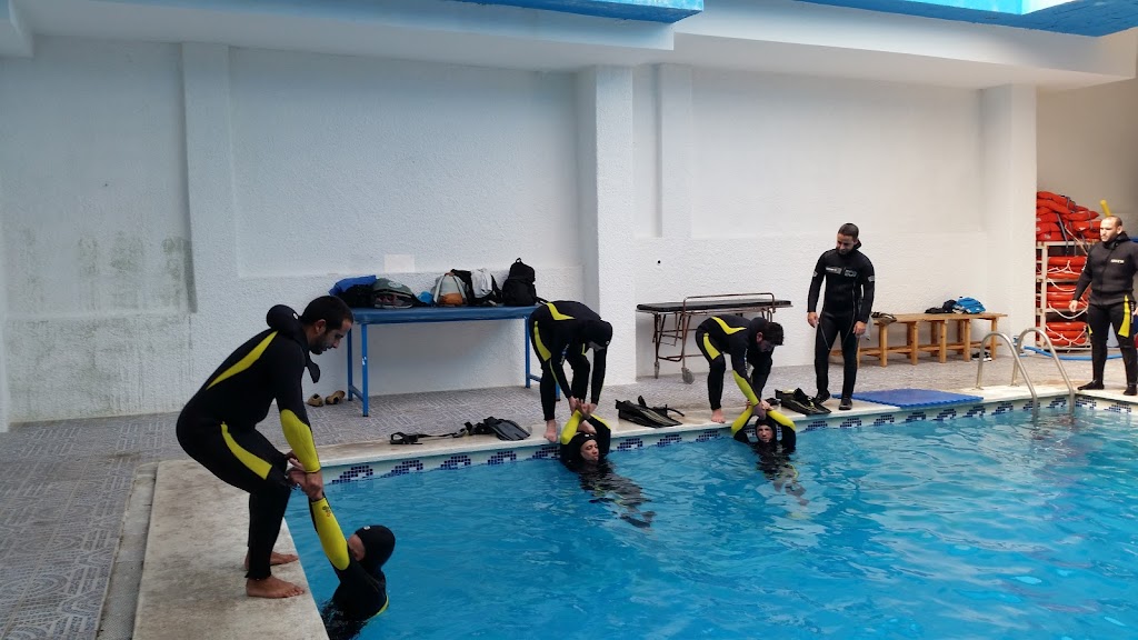 Instituto Andaluz del Buceo Profesional