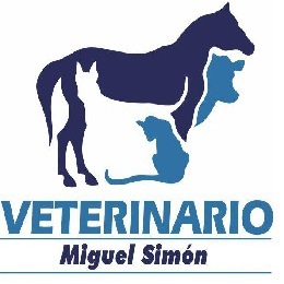 Veterinario Miguel Simon - 24h — Del propietario