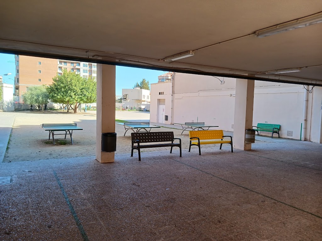Institut d' educacio secundaria Francesc Tarrega — Del propietario