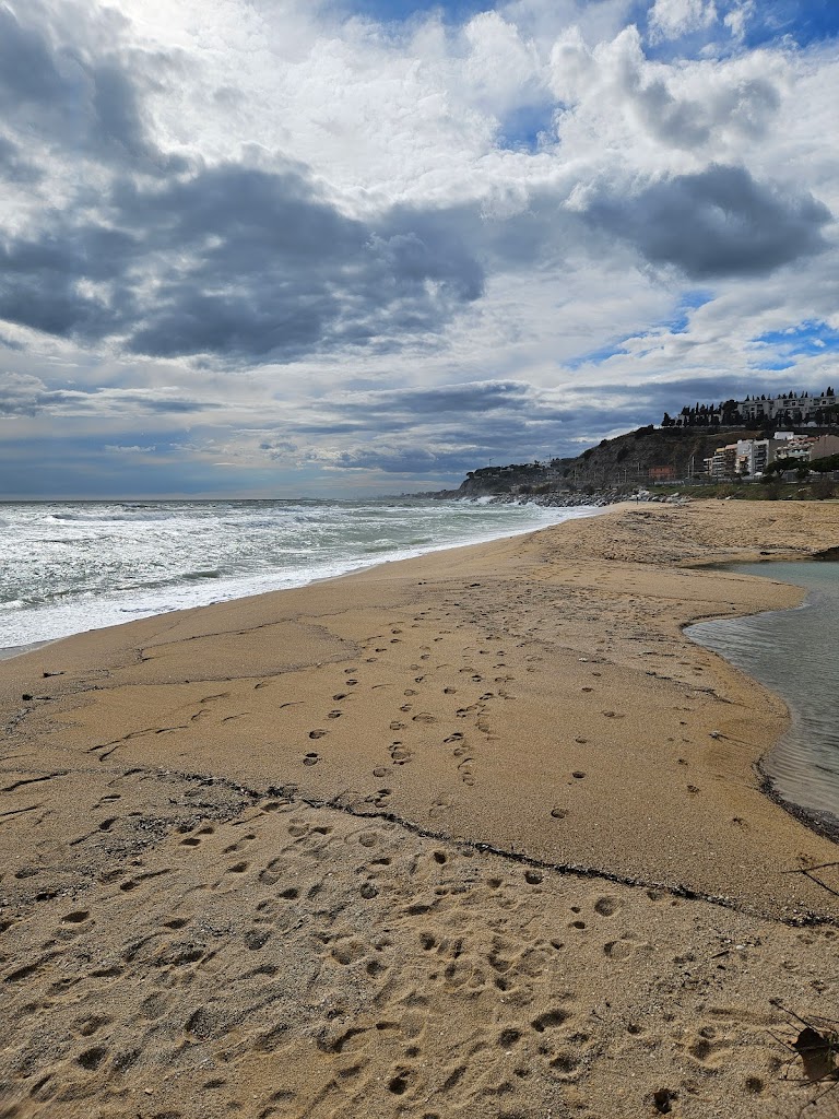 Platja de Gossos de la Picordia