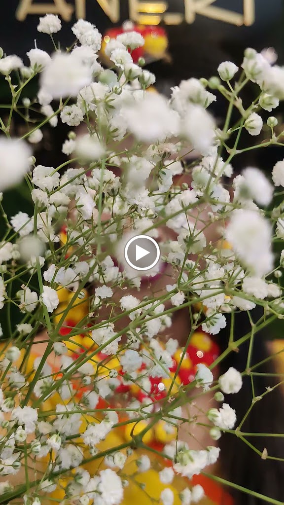 Paneri Beauty Parlour Spa Institute