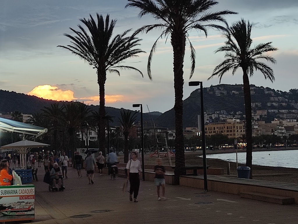Bar Platja — Del propietario
