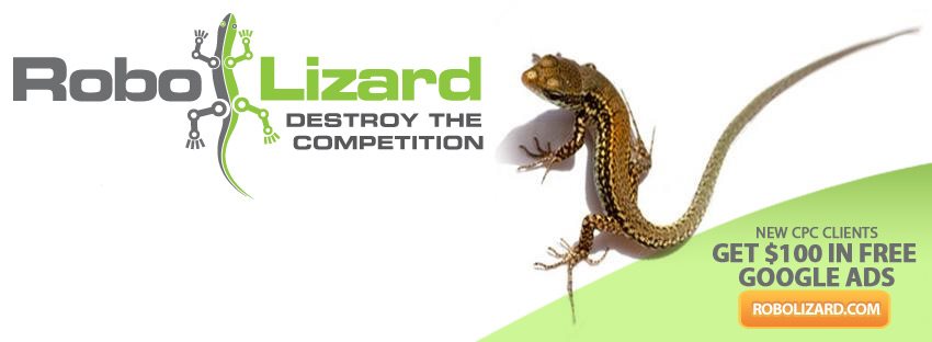 Robolizard