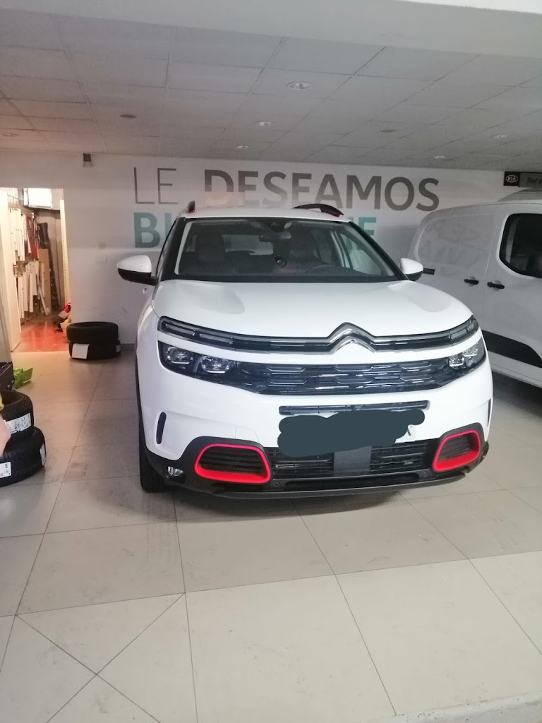 ZAER MOTOR SA Concesionario Oficial — Interior