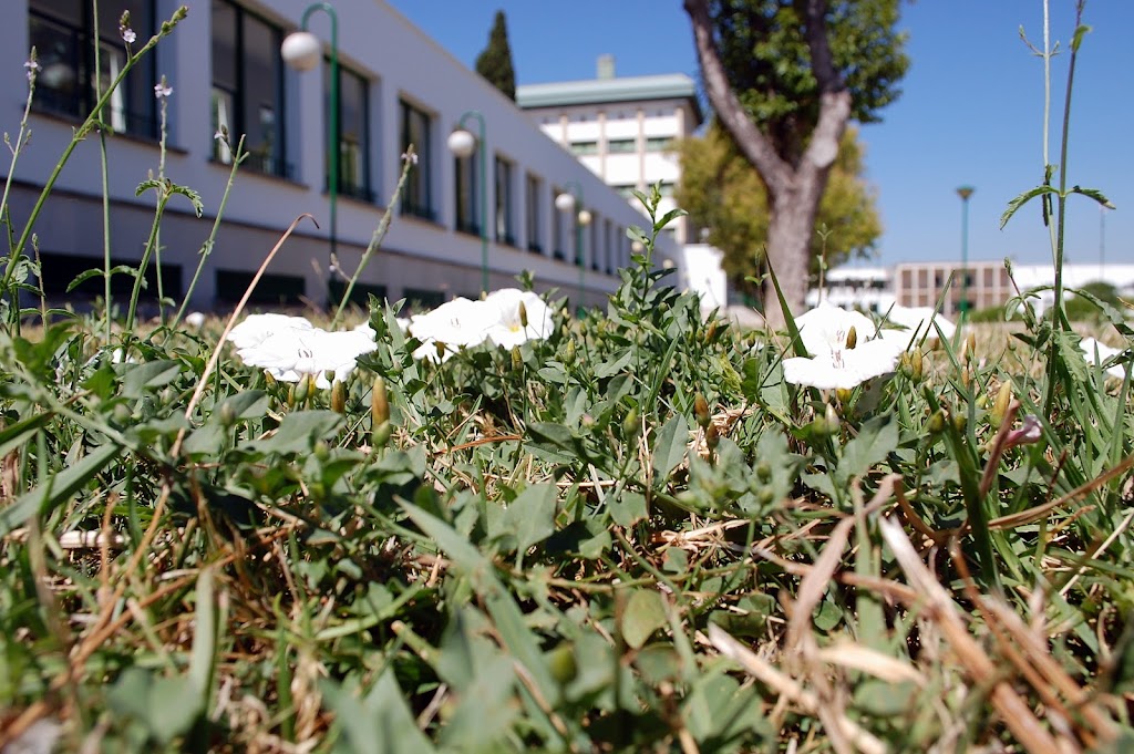 Residencia Universitaria Lucano