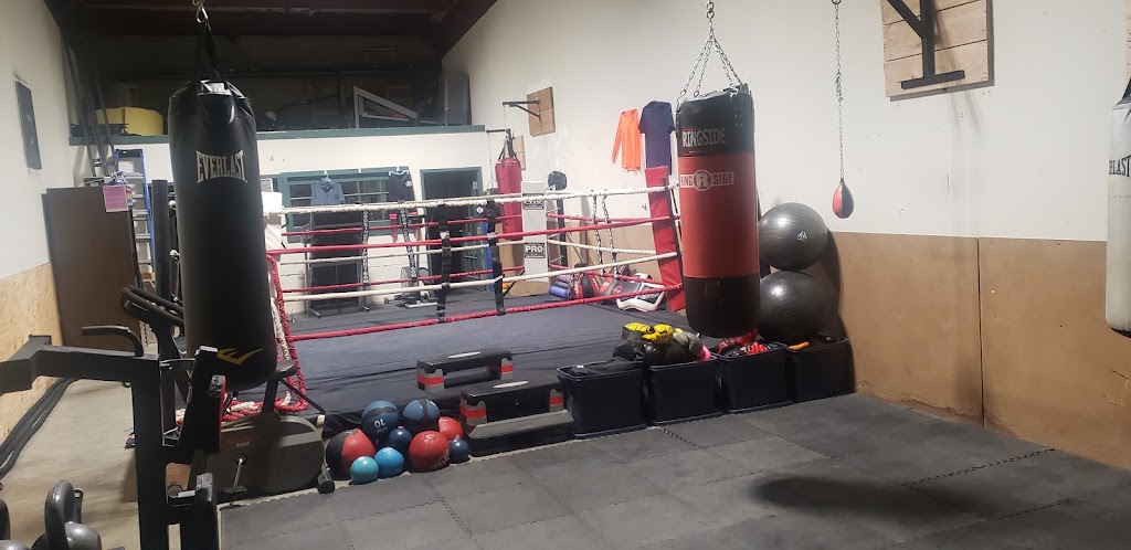  Firmfit training and boxing