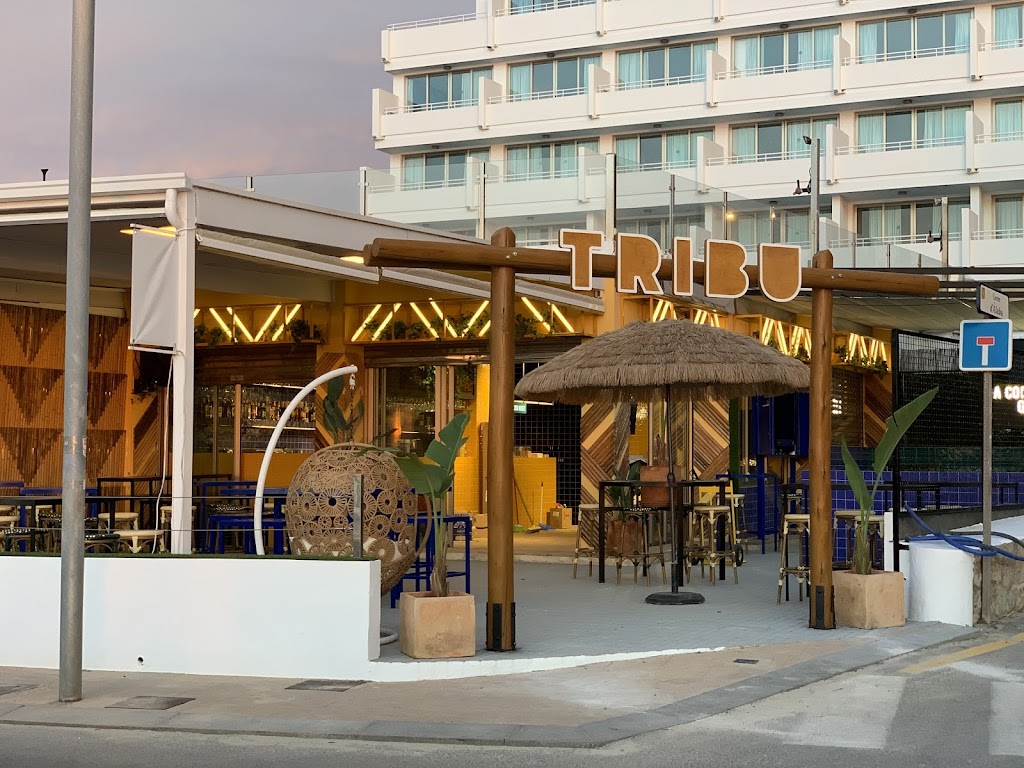 Tribu Ibiza