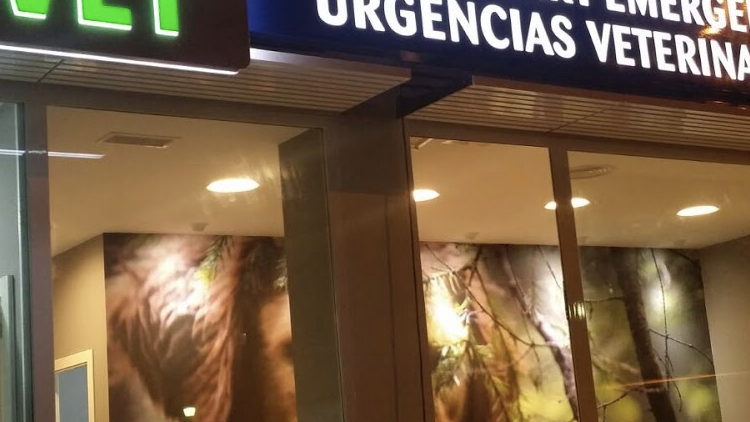 Urvet Marbella Urgencias Veterinarias