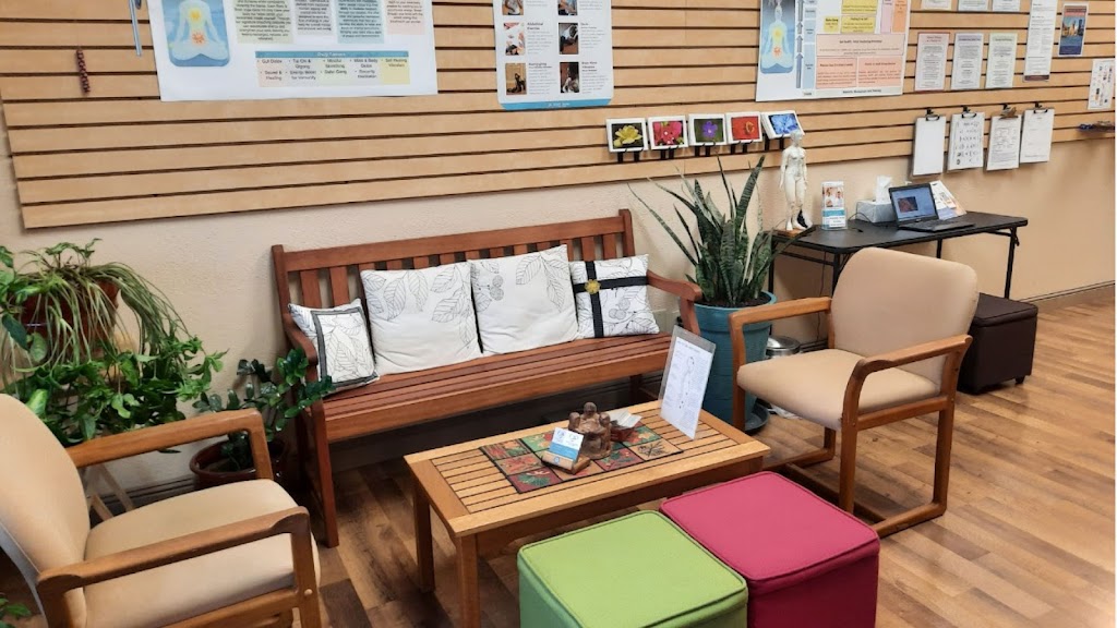  Body & Brain Yoga Tai Chi