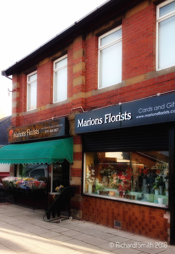 Marion's Florists