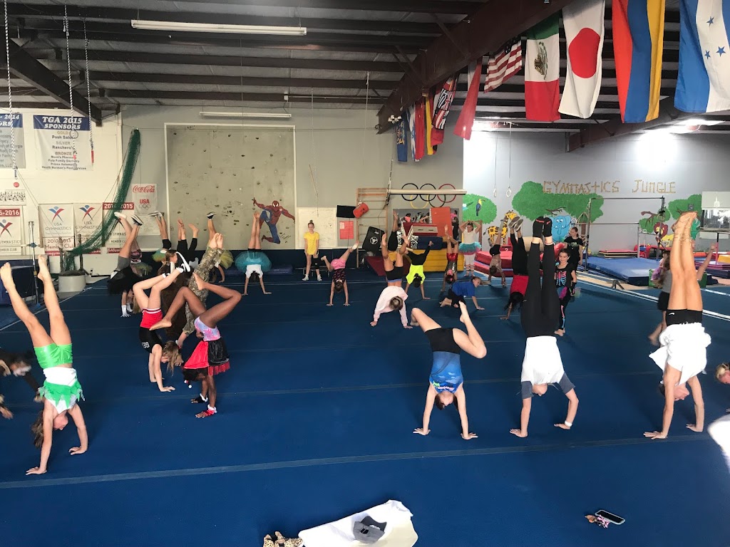  Tift Gymnastics Academy