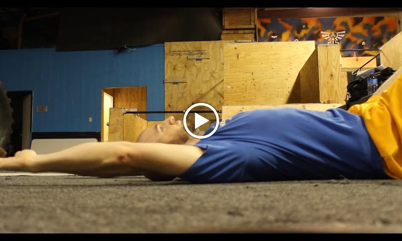  TM Nutrition & Training