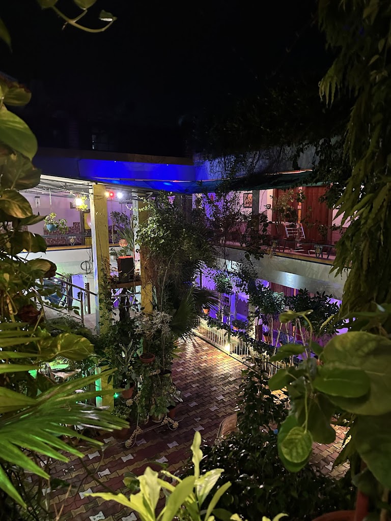 Hotel Buddha Palace