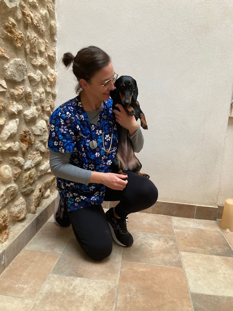 Clinica Veterinaria Cabanes