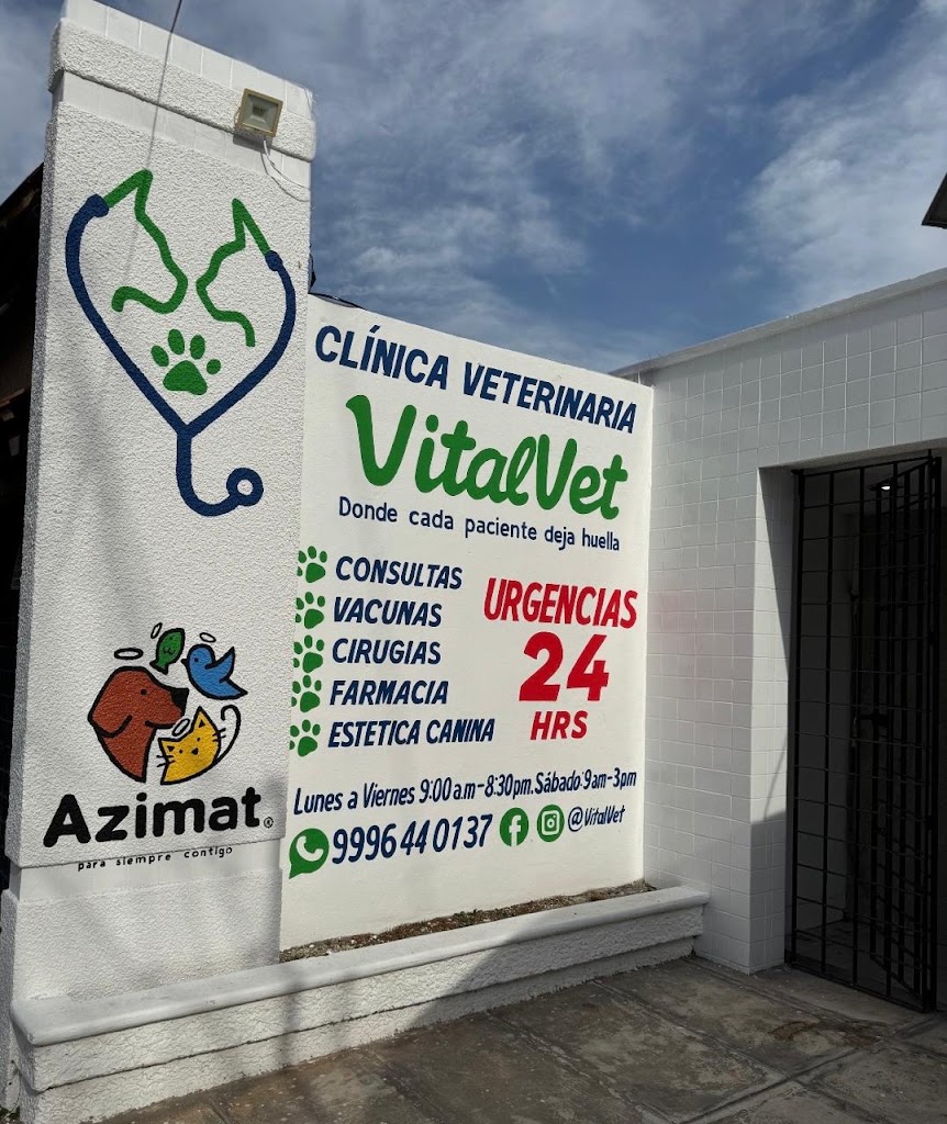 Clinica veterinaria VitalVet — Del propietario