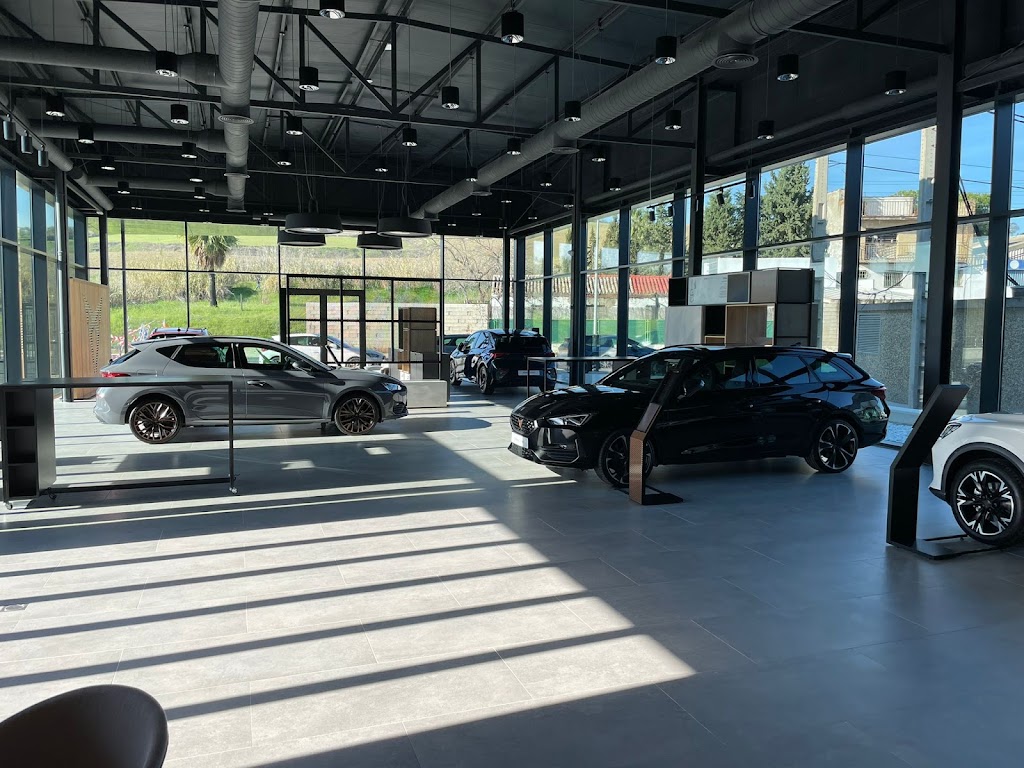 Caysa Movil - Cupra — Interior
