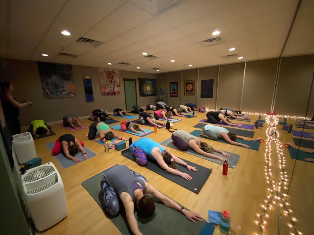  Twisted Roots Yoga & Wellness