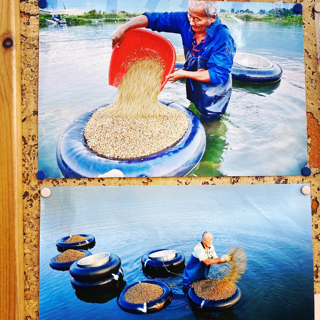 越南河內小吃 的照片