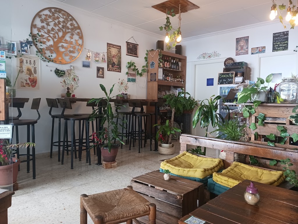 La Casita Jardin -Cafeteria vegana y vegetariana en Altea — Ambiente