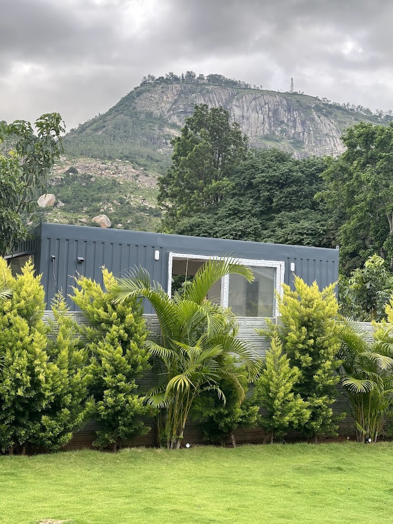 The Willows Nandi