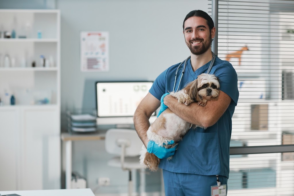 Clinica Veterinaria Larrucea — Del propietario