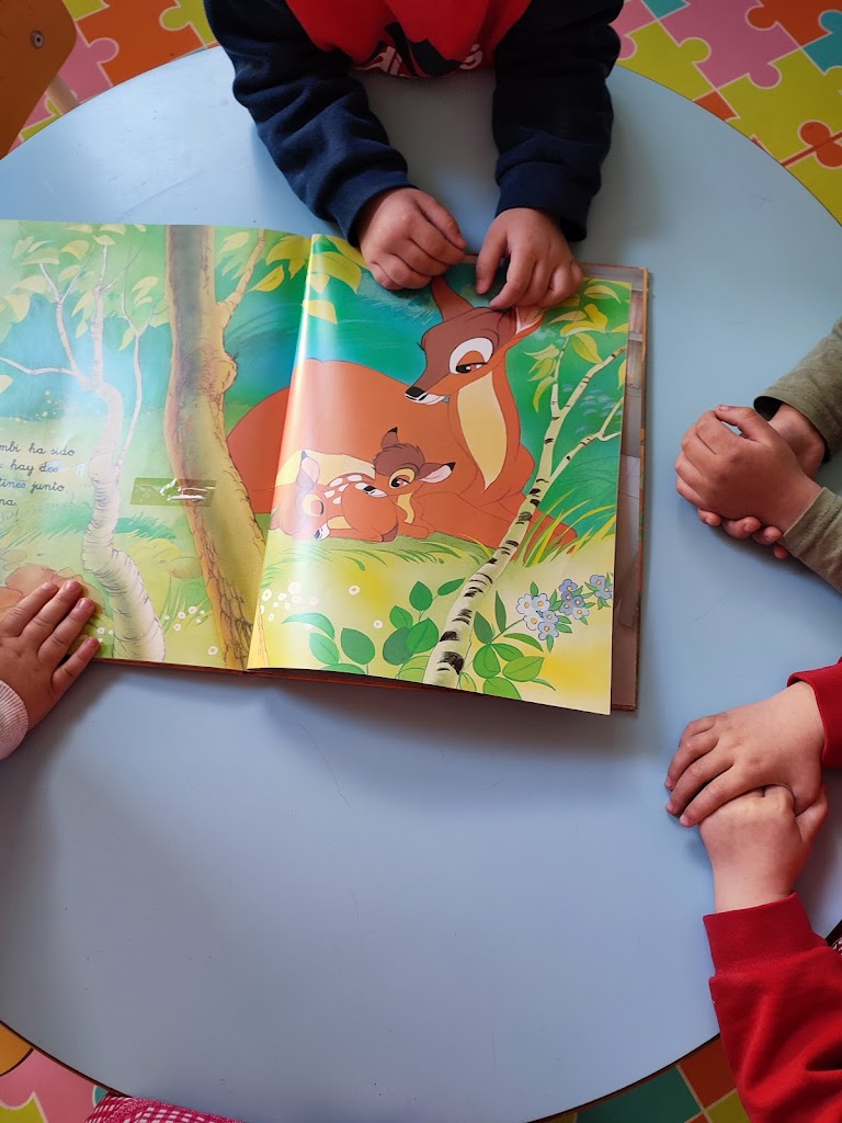 Centro de Educacion Infantil Bambino