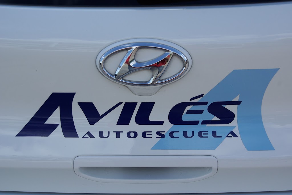Autoescuela Aviles (Cullar Vega)