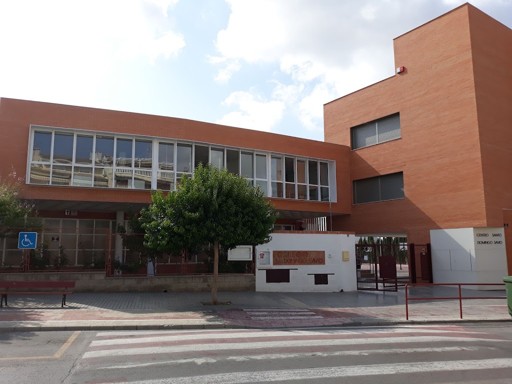 Colegio Santo Domingo Savio