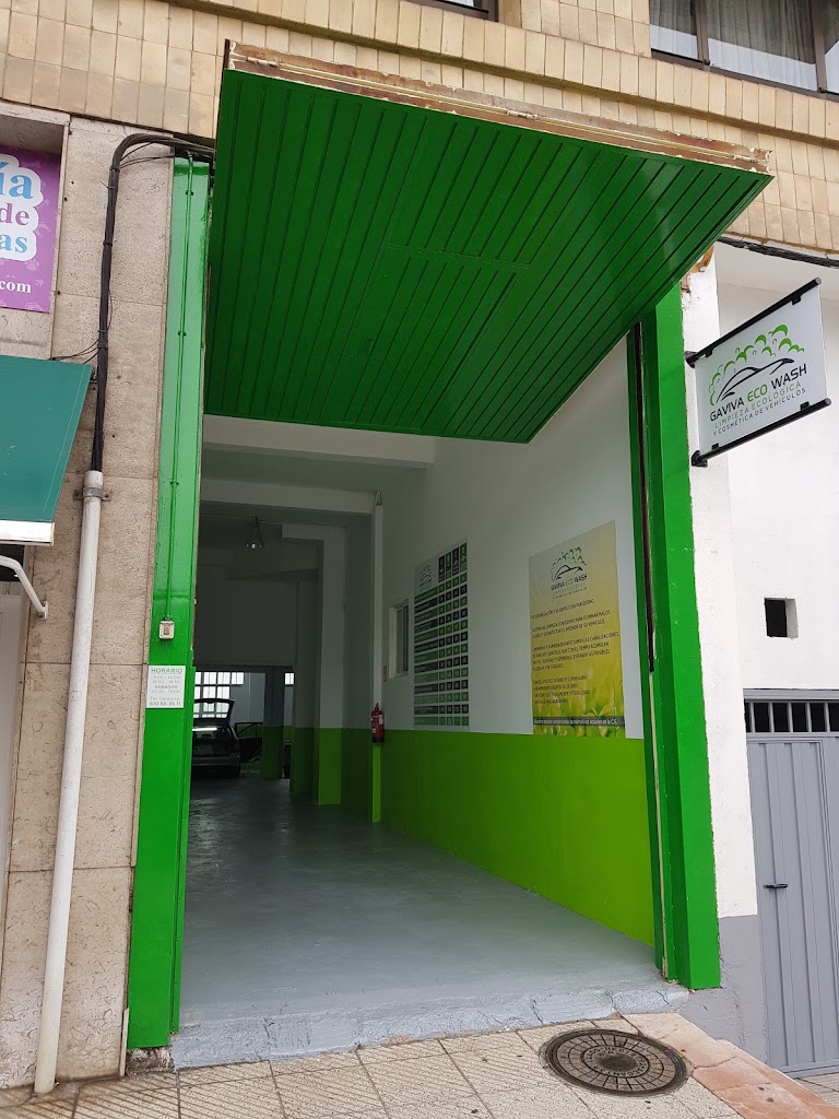 GAVIVA ECO CLEAN- Limpieza ecologica y cosmetica de vehiculos — Exterior