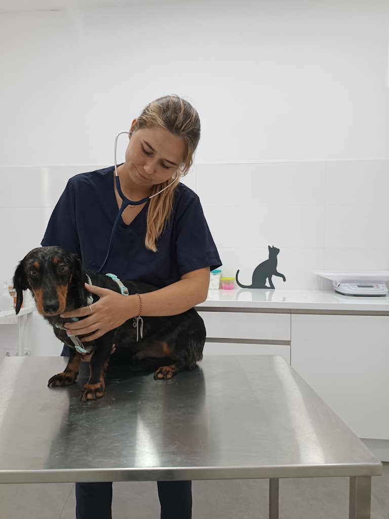 Clinica Veterinaria Eurotierklinik ETK — Del propietario