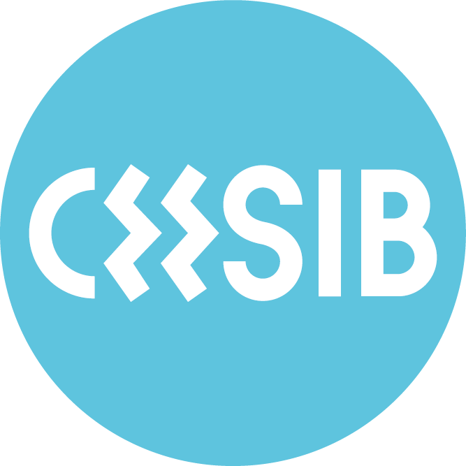 Col*legi d'Educadores i Educadors Socials de les Illes Balears (CEESIB) — Del propietario