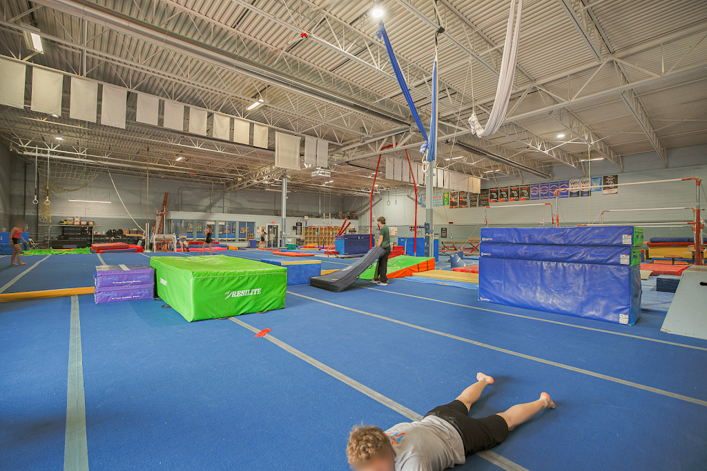  fLipSpot Gymnastics and Cheer L.O.