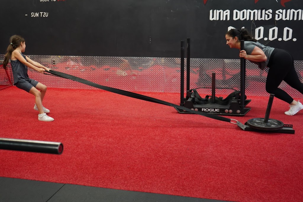  Tutela Training Systems