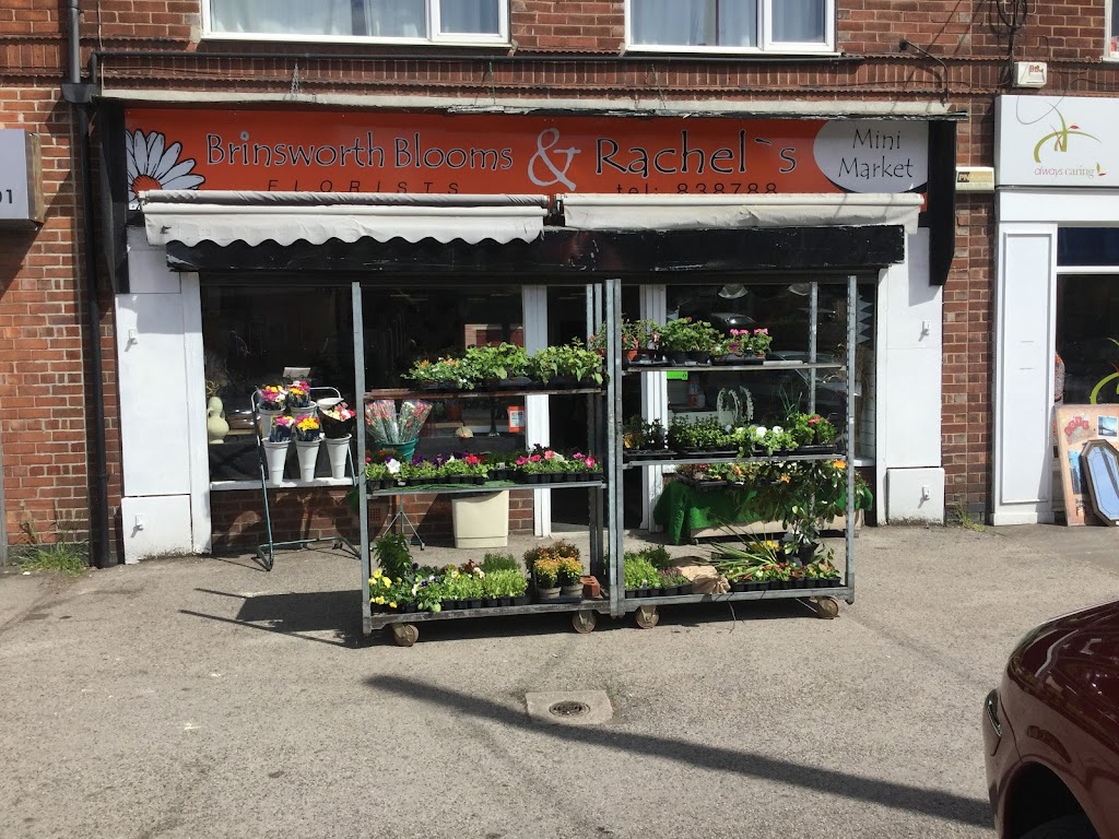 Brinsworth Blooms