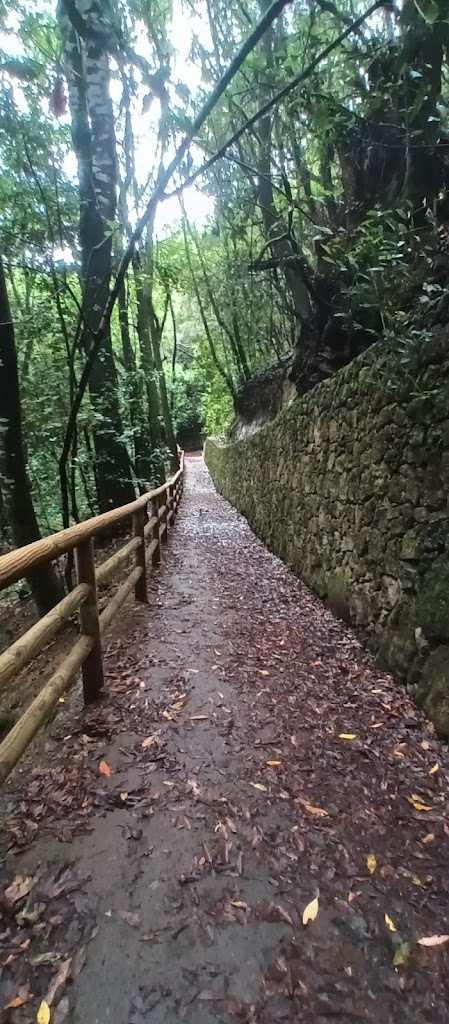 Ruta los guardianes centenarios