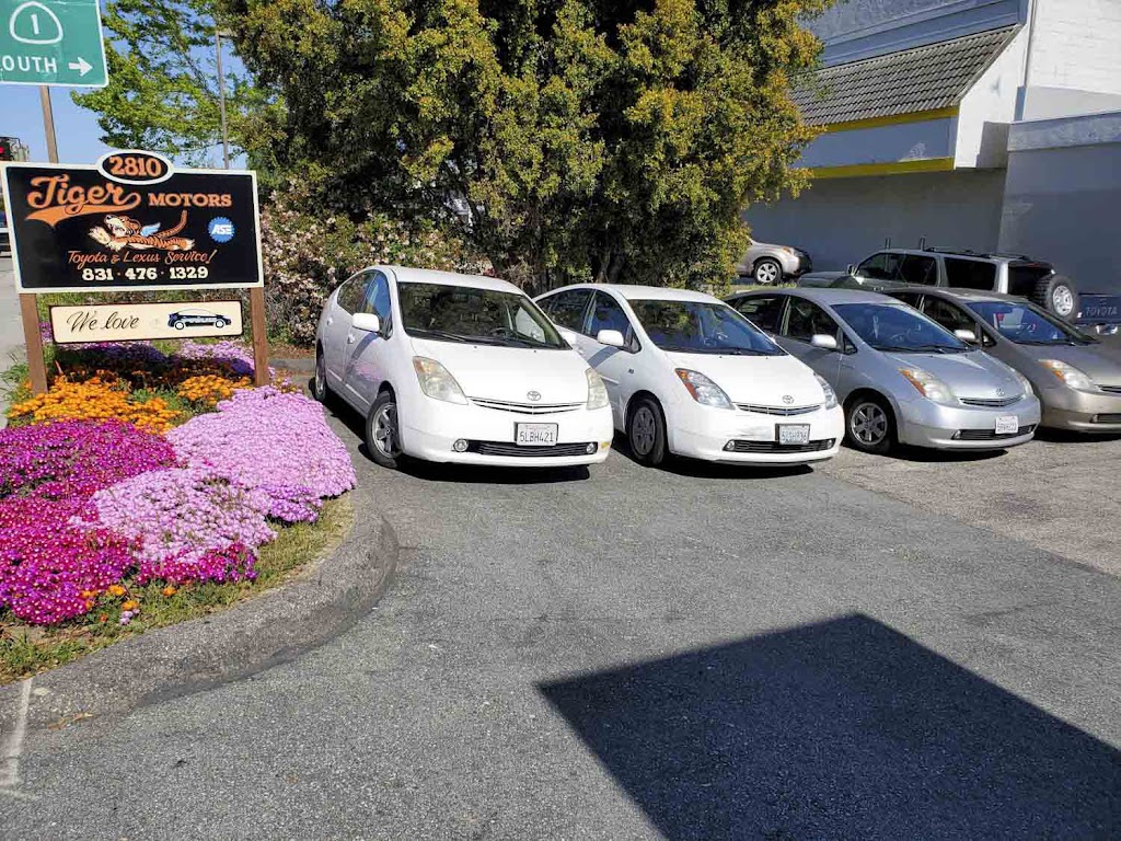 Tiger Motors Inc in Santa Cruz