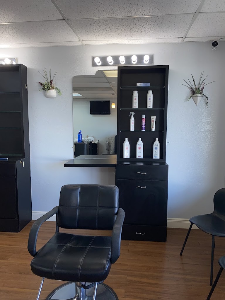 Renaissance Salon - Port Richey, FL