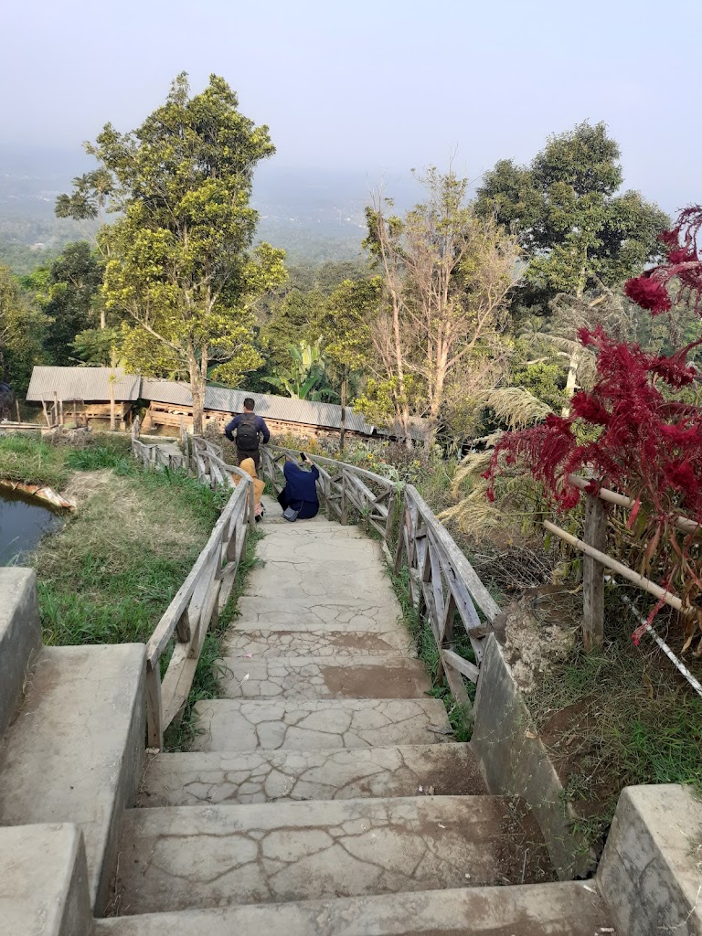 Kampung Domba Pandeglang Banten