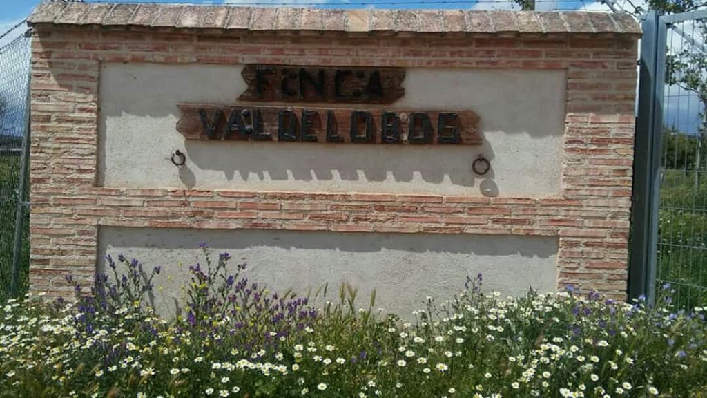 Tuecohuerta Alquiler Huertos De Ocio