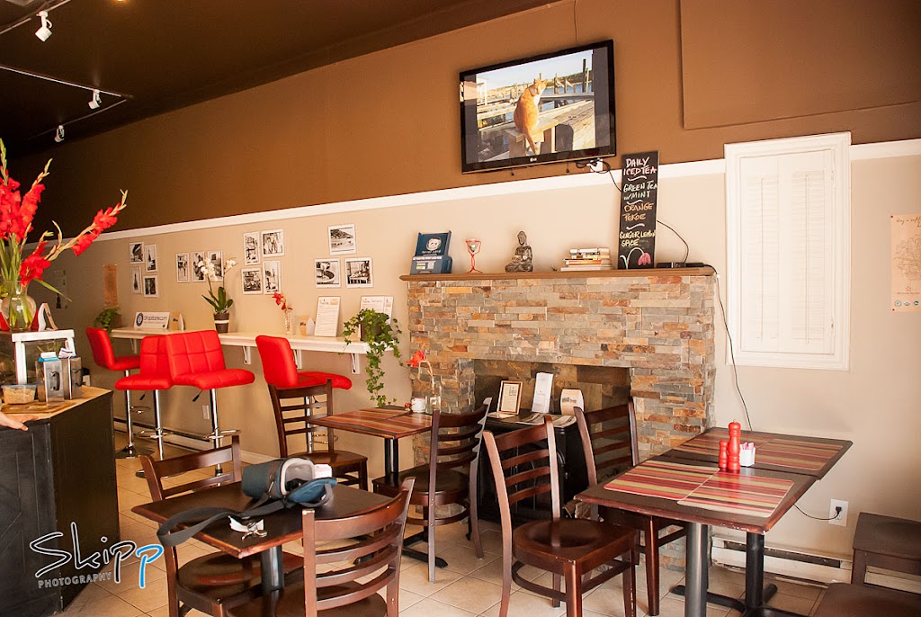 Lazy Tulip Cafe