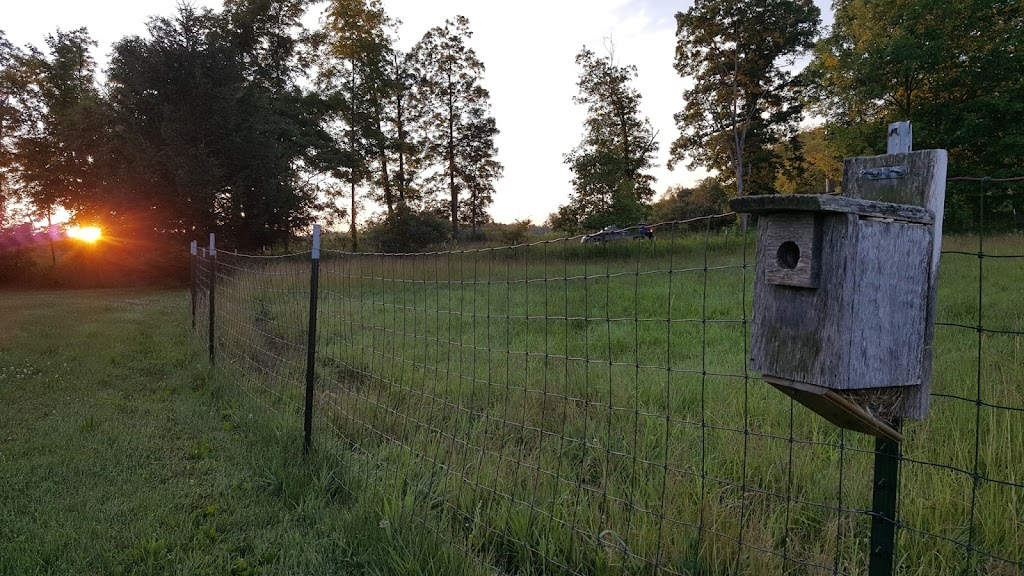  Bluebird Meadow Goat Yoga LLC