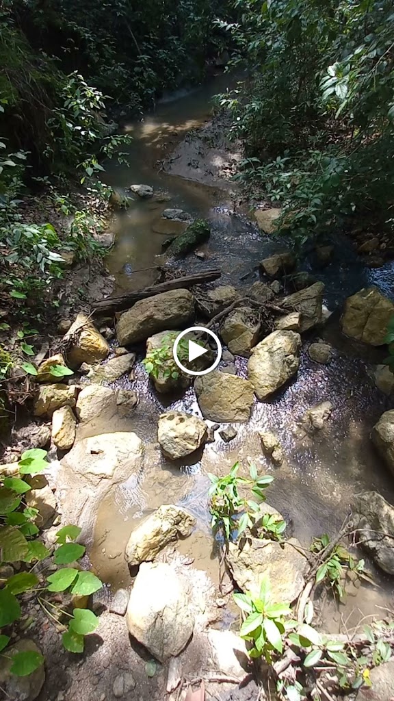 Videos