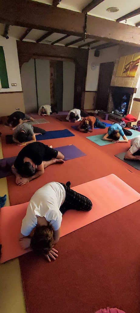 Namaste Yoga Zentroa - Yoga - Meditacion - Masaje - Terapias Holisticas Renteria