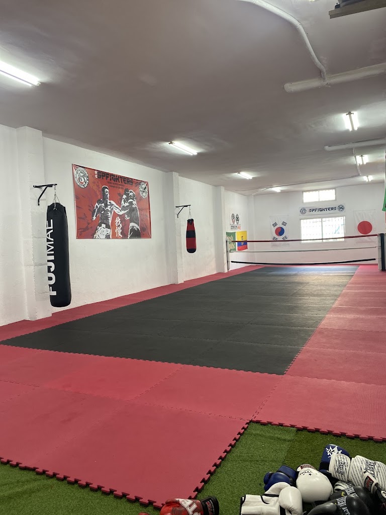 Spfighters escuela de artes marciales y deportes de contacto — Del propietario