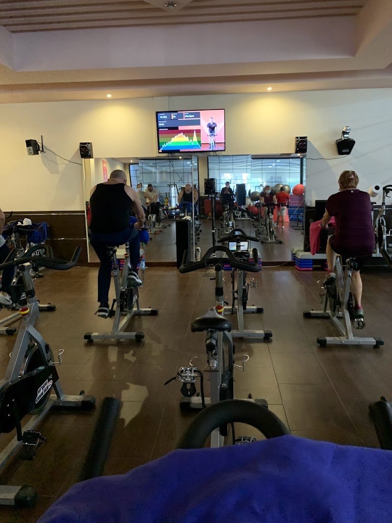 Gimnasio Iron Body Manises